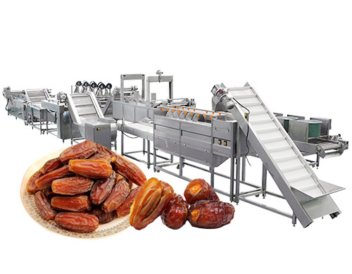 匠心打造，品質卓越——山東省小青柑椰棗生產線的行業典范之路