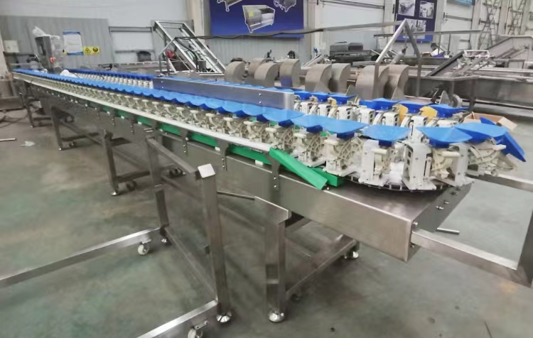 火龍果生產(chǎn)線